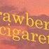 Strawberries Cigarettes Troy Sivan