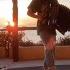 GRAYSSOKER Accordion Sunset Session