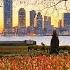 NYC LIVE Downtown Manhattan Battery Park City Battery Park Amazing Sunset April 20 2022