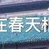 迷 媒体 009 约在春天相见 当代中国禁歌 献给 武汉肺炎 困境下的中国同胞 Promise To Meet In Spring