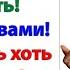 Вас бросил муж От вас сбежал младший сын И вот вы приперлись И решили отравить жизнь теперь нам