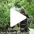 No Copyright Music Dj Quads Nothing In This World