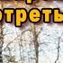 Укращение страптивой машины Первое впечатление на ГАЗ 3110