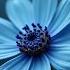 The Blue Flower