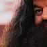 Rubeus Hagrid I Ll See You