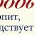 2 Любовь долготерпит милосердствует и не завидует Тест на любовь Рик Реннер