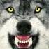 Wolf Howl And Wolf Growl Sound Effect