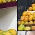 Hyderabad Mangoes Arrive Earlier Than Usual This Season