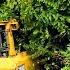 This Is What Happens When A Rogue Operator Forces A Dozer To Break Through A Bushes