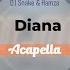 DJ Snake Hamza Diana Acapella