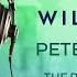 Dragon Age Inquisition The Dawn Will Come Peter Hollens Virtual Choir Feat 500 Patrons