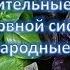 Успокоительные травы для нервной системы народные рецепты