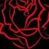 Shan Tazh Beautiful Rose Y Y Remix Row Records