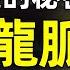 冥冥中掌握興亡 為何秦嶺是中華第一龍脈 那些鮮為人知的龍脈爭奪戰 文昭思緒飛揚第23期