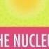 The Nucleus Crash Course Chemistry 1