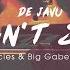 De Javu I Can T Stop Freak Frequencies Big Gabee Bootleg 2019