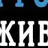 Юлія Рознен Живи мінусовка караоке мінус інструментал