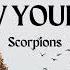 Scorpions Follow Your Heart