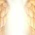 1111Hz Spiritual Hug Of Angel Unconditional Love Of Guardian Angels Make Your Wish Come True