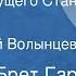 Френсис Брет Гарт Счастье Ревущего Стана Рассказ Читает Юрий Волынцев