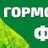 Нормализация гормонального фона Исцеляющая медитация для женщин Исцеление звуком