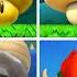 All Special Mushrooms In New Super Mario Bros U