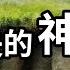 這個島上全是 神人 卻困在這裡上千年直到滅絕 復活節島和上面的摩艾石像 老高與小茉 Mr Mrs Gao