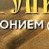 Толкование Евангелия с митр Антонием Паканичем Суббота 12 октября 2024 года