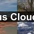 Cumulus Clouds In 4k