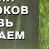 Снятие блоков на любовь Открываем сердце Елена Алеева