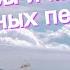 Что такое чартерный рейс Плюсы и минусы чартерных перелётов