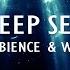 Whale Calls Underwater Ambience 2HR Sleep Ambience Deep Sea