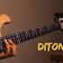 Ditonellapiaga Rettore Chimica Sanremo 2022 Bass Cover With Tabs Play Along 4K