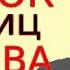 Перечень и обзор ВСЕХ матриц Гаряева Никаких других не существует и уже никогда не появятся