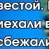 Жених решил познакомить родителей со своей невестой Но когда они приехали в её деревню сбежали