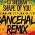 Ed Sheeran Shape Of You Gal Malka Ft Jah B And Shir Dancehall Remix Cover Reggae