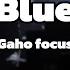 KAVE Blue Gaho Focus