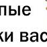 Татуировщики какие тупейшие тату вас просили набить