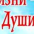 Смысл жизни Спасение Души Протоиерей Сергий Киселёв