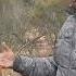 Old Noongar Aboriginal Scarred Tree Used For Water Collection Baby Carrying Seed Sifting Canoes