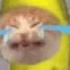 Banana Cat Crying Meme Template Sound Effect