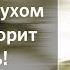 Сергей Сильченков Не воинством и не силой но Духом Моим говорит Господь