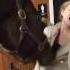 Horse Plays With Girl S Hoodie