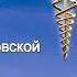 Меджид Гаммаев с дебютом на канале CashFlow PROFI Спикер эфира Татьяна Блинковская 28 11 2024