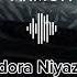 Dildora Niyazova Armon DXRK Remix