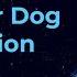 Finding Canis Minor The Lesser Dog Constellation