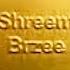 108 SHREEM BRZEE Chant With Singing Bowl Instant Wealth Manifestation Law Of Attraction