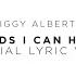 Ziggy Alberts Hands I Can Hold Land Sea Official Lyric Video