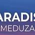 MEDUZA Paradise Ft Dermot Kennedy Lyrics