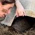 DIGGING UP BABY TORTOISES TRAPPED UNDERGROUND WILL WE SAVE THEM